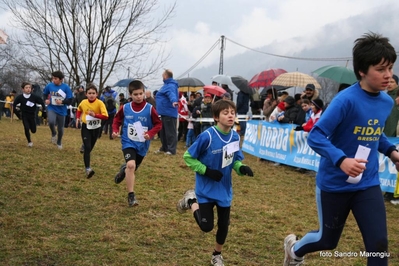 Clicca per vedere l'immagine alla massima grandezza