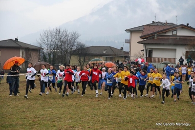 Clicca per vedere l'immagine alla massima grandezza