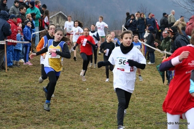 Clicca per vedere l'immagine alla massima grandezza