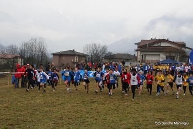 Clicca per vedere l'immagine alla massima grandezza