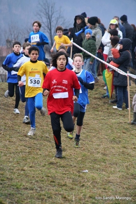 Clicca per vedere l'immagine alla massima grandezza