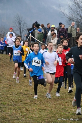 Clicca per vedere l'immagine alla massima grandezza