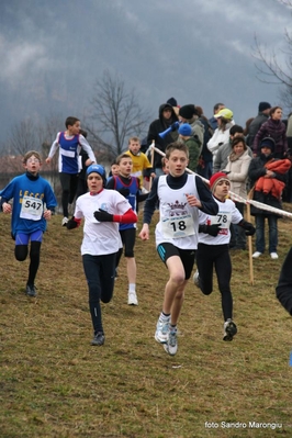 Clicca per vedere l'immagine alla massima grandezza