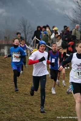Clicca per vedere l'immagine alla massima grandezza