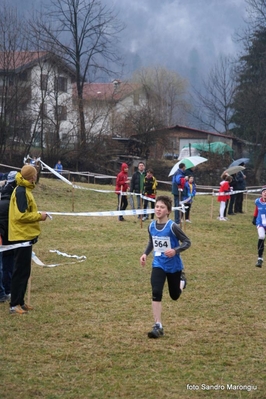 Clicca per vedere l'immagine alla massima grandezza