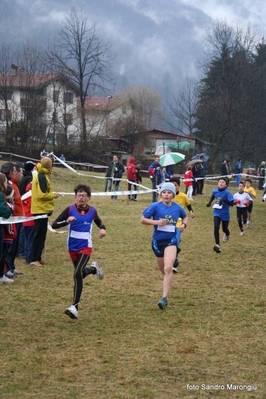 Clicca per vedere l'immagine alla massima grandezza