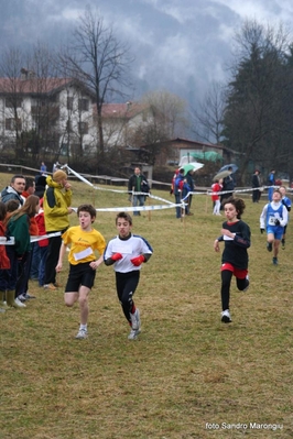 Clicca per vedere l'immagine alla massima grandezza