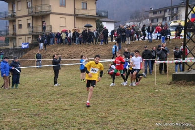 Clicca per vedere l'immagine alla massima grandezza