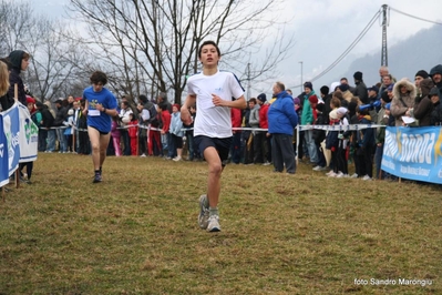 Clicca per vedere l'immagine alla massima grandezza