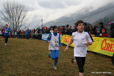 Clicca per vedere l'immagine alla massima grandezza