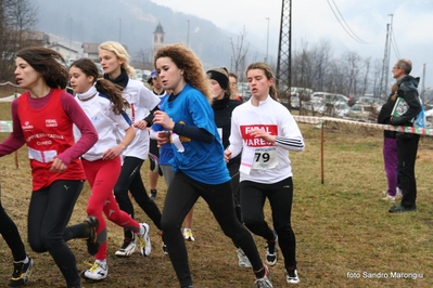 Clicca per vedere l'immagine alla massima grandezza