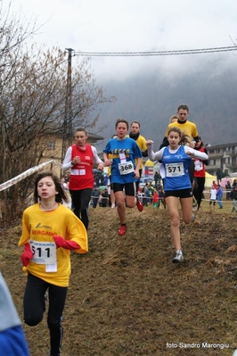 Clicca per vedere l'immagine alla massima grandezza