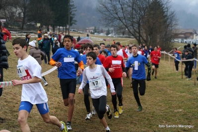 Clicca per vedere l'immagine alla massima grandezza