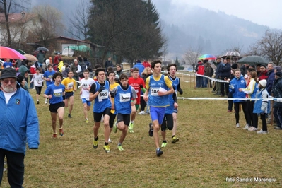 Clicca per vedere l'immagine alla massima grandezza