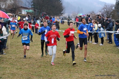 Clicca per vedere l'immagine alla massima grandezza