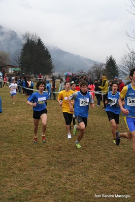 Clicca per vedere l'immagine alla massima grandezza