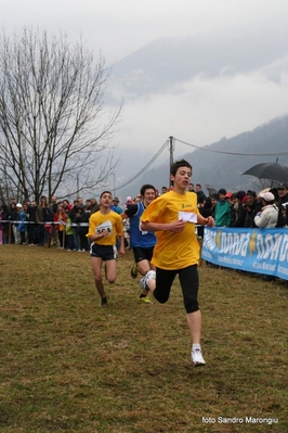 Clicca per vedere l'immagine alla massima grandezza