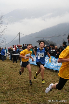 Clicca per vedere l'immagine alla massima grandezza