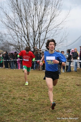 Clicca per vedere l'immagine alla massima grandezza