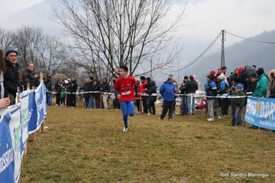 Clicca per vedere l'immagine alla massima grandezza