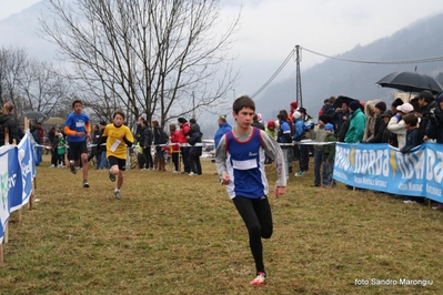 Clicca per vedere l'immagine alla massima grandezza
