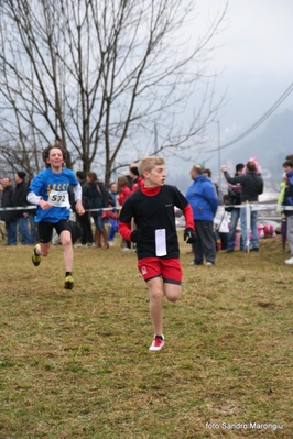 Clicca per vedere l'immagine alla massima grandezza