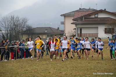 Clicca per vedere l'immagine alla massima grandezza