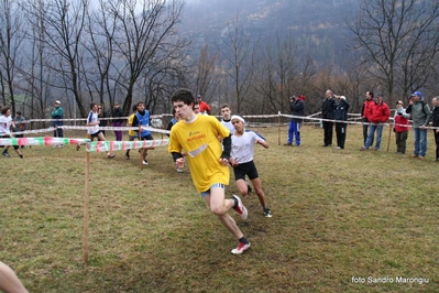 Clicca per vedere l'immagine alla massima grandezza
