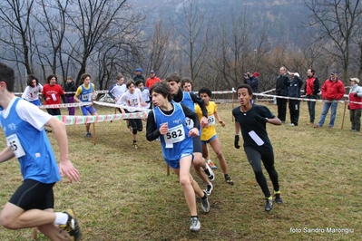 Clicca per vedere l'immagine alla massima grandezza