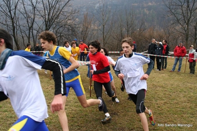 Clicca per vedere l'immagine alla massima grandezza