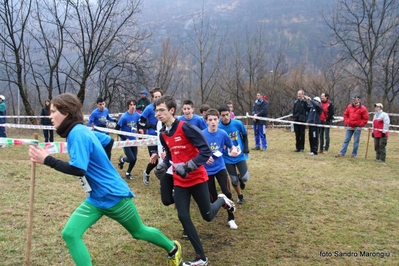 Clicca per vedere l'immagine alla massima grandezza