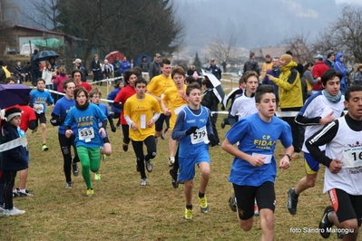 Clicca per vedere l'immagine alla massima grandezza