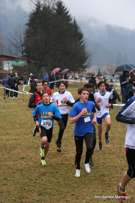 Clicca per vedere l'immagine alla massima grandezza