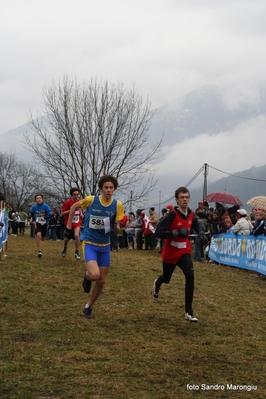 Clicca per vedere l'immagine alla massima grandezza