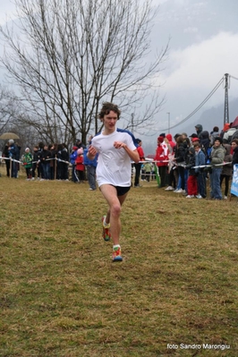 Clicca per vedere l'immagine alla massima grandezza