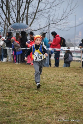 Clicca per vedere l'immagine alla massima grandezza