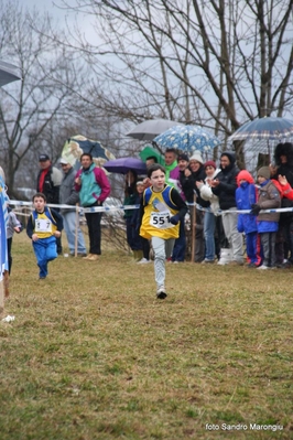Clicca per vedere l'immagine alla massima grandezza