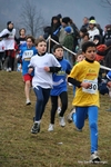 IMG_7183.jpg