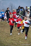 IMG_7187.jpg