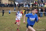 IMG_7252.jpg