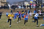 IMG_7257.jpg