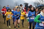 IMG_7333.jpg