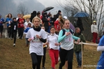 IMG_7343.jpg
