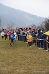 IMG_7348.jpg