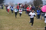 IMG_7365.jpg