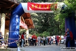 08_05_2011_Erba_Capanna_Mara_Alpe_Vice_Re_Foto_Roberto_Mandelli_0159.jpg