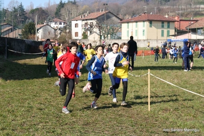 Clicca per vedere l'immagine alla massima grandezza