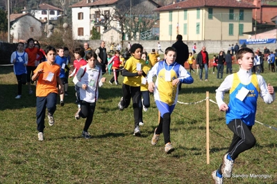 Clicca per vedere l'immagine alla massima grandezza