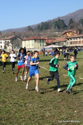 Clicca per vedere l'immagine alla massima grandezza