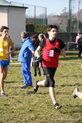 Clicca per vedere l'immagine alla massima grandezza